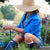 360FIVE Everyday Hat - Aloe Fedora Gardening Straw Wide Brim Sun Hat